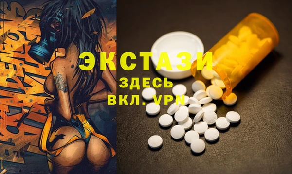 ECSTASY Богородск