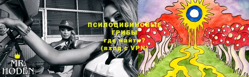 Галлюциногенные грибы Magic Shrooms  МЕГА как войти  Гусиноозёрск 